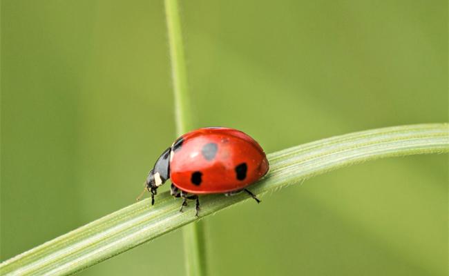 Stichwort: Das kleine Glück