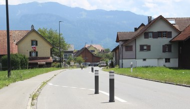 «Du Vollpfosten» war gestern - heute wäre es «Vollpoller»