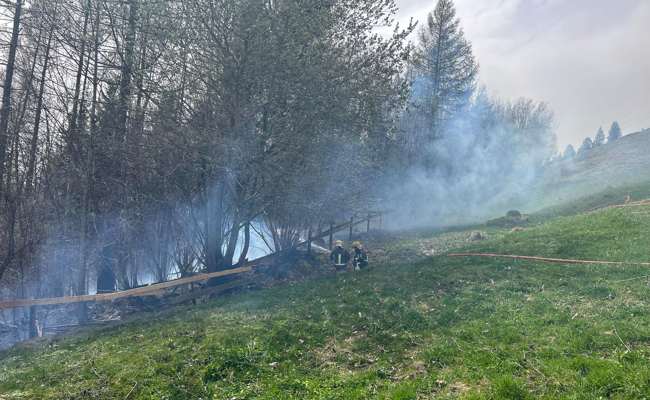 Der Föhn entfachte das Feuer: Bäume und Waldboden brannten im Bereich Alte Ruppenstrasse