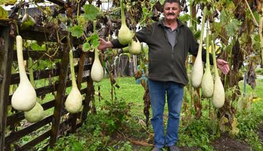 Der Mann mit den Keulen im Garten