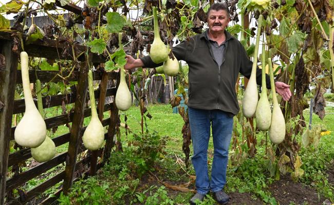 Der Mann mit den Keulen im Garten