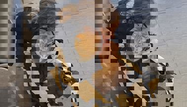 Pelziger Passagier: SBB-Kater Ginger steigt in jeden Zug