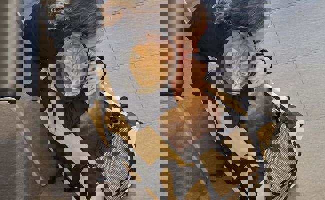 Pelziger Passagier: SBB-Kater Ginger steigt in jeden Zug