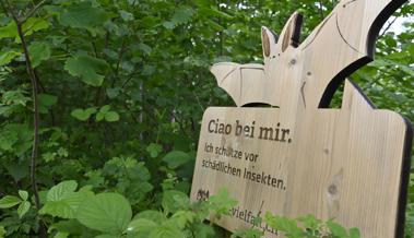 Hoi bei mir im Wald