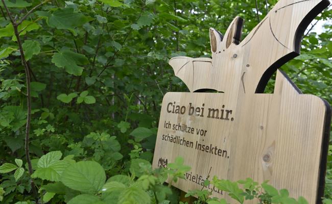 Hoi bei mir im Wald