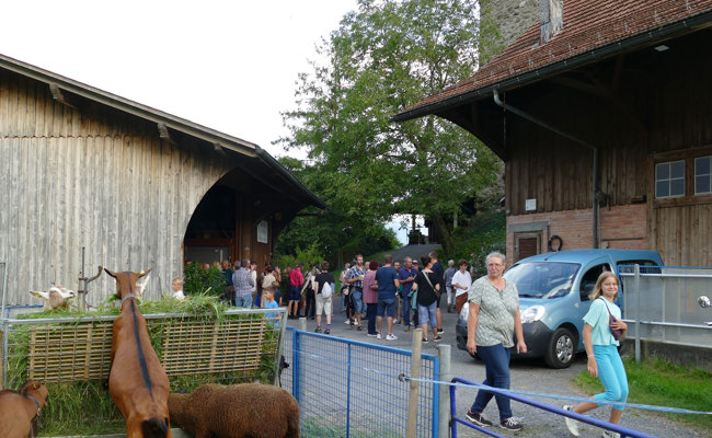 Ein Mitarbeitendengrillfest inmitten der Rebberge