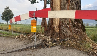 Blitzschlag zerstört 80-jährige Pappel und beschädigt die Strasse
