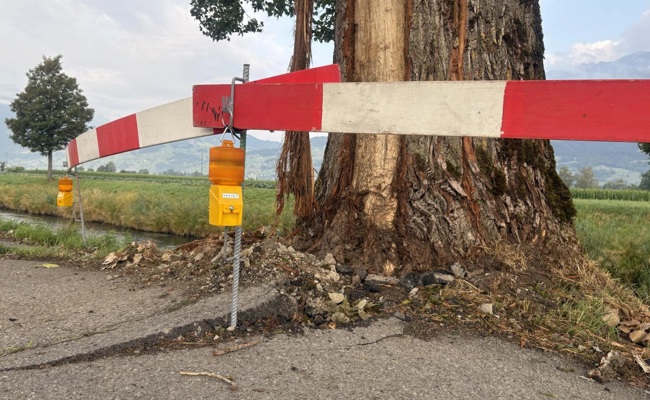 Blitzschlag zerstört 80-jährige Pappel und beschädigt die Strasse