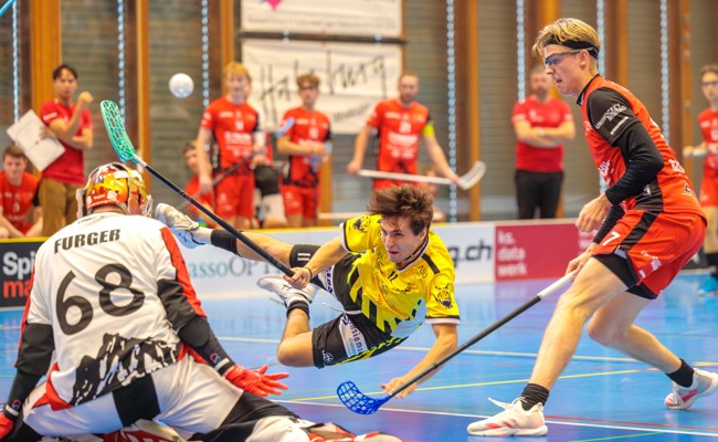 Die Rheintal Gators reisen zum Erstliga-Derby nach Appenzell