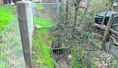 Der Gupfenbach wird offengelegt und ausgebaut, um den Hochwasserschutz zu stärken