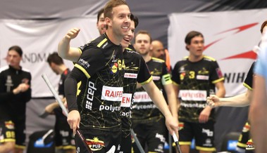 Fünf Spieler verlassen das Fanionteam der Rheintal Gators