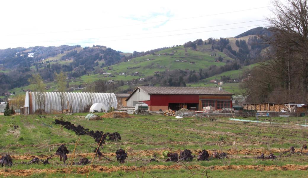 Unmittelbar am Hof von Gottlieb Bucher führt die geplante Altstätter Ostumfahrung vorbei. 