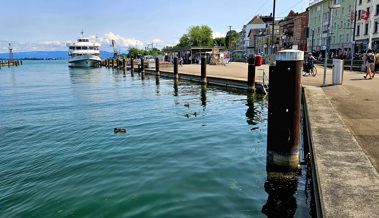 Wasserstand des Bodensees sinkt langsam, bleibt aber überdurchschnittlich hoch