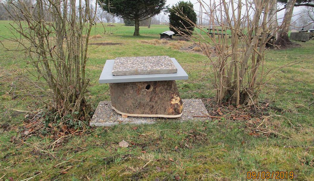 Eine Nisthilfe für den Wiedehopf. Wo sie aufgestellt wurde, behält die Projektleitung zum Schutz der Vögel für sich.