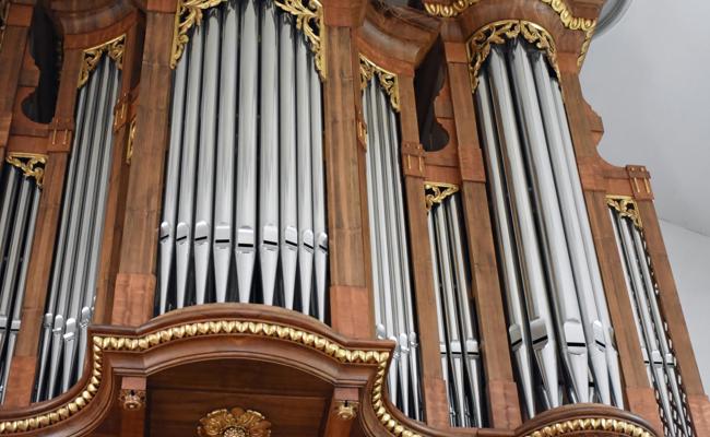 Die Rebschter Orgel schimmelt