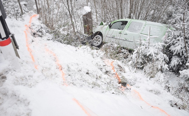 Baumstumpf stoppte Lieferwagen – Fahrer verletzt