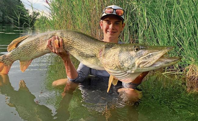 «Mein lieber Hecht!»