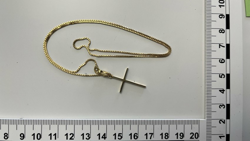 Sicherstellung E 1.32 Halskette Sicherstellung E 1.32 Halskette