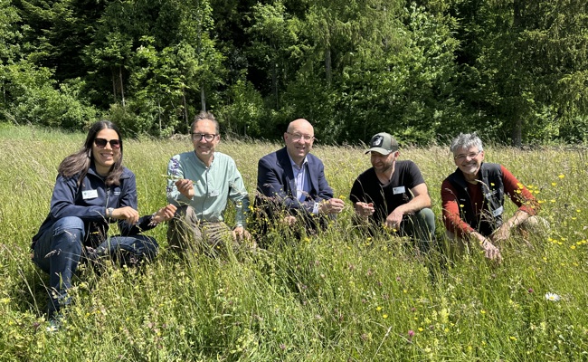 Belebte Flächen statt monotoner Rasen: Kanton macht Biodiversität sichtbar