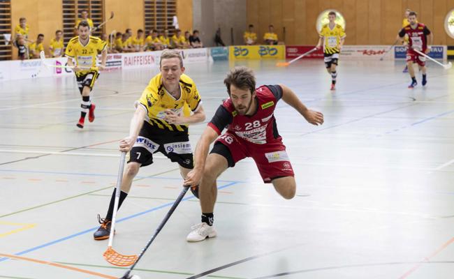 Gelungener Saisonstart der Gators