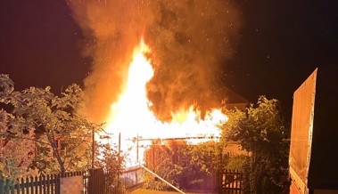 Schrebergartenhäuschen an der Feldlistrasse gerät in der Nacht in Vollbrand