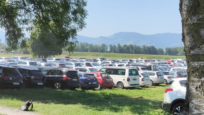 Live-Ticker: FC Widnau - FC St.Gallen 1879 Live-Ticker: FC Widnau - FC St.Gallen 1879