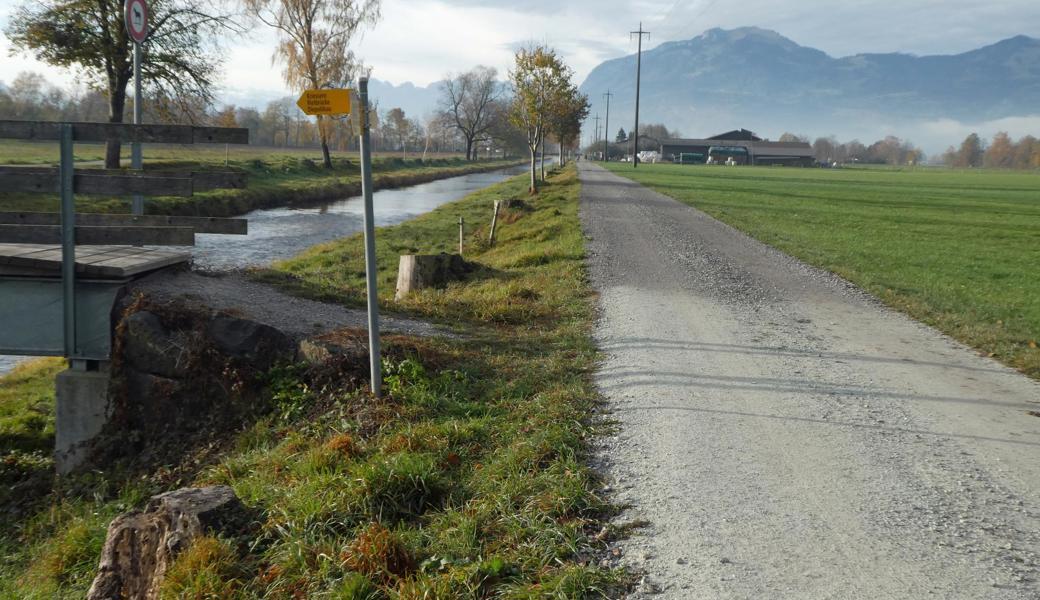 Hell- über Dunkelgrau bis Grün: Fünf unterschiedliche Beläge werden am Kanal zwischen Kriessern und Rebstein getestet.