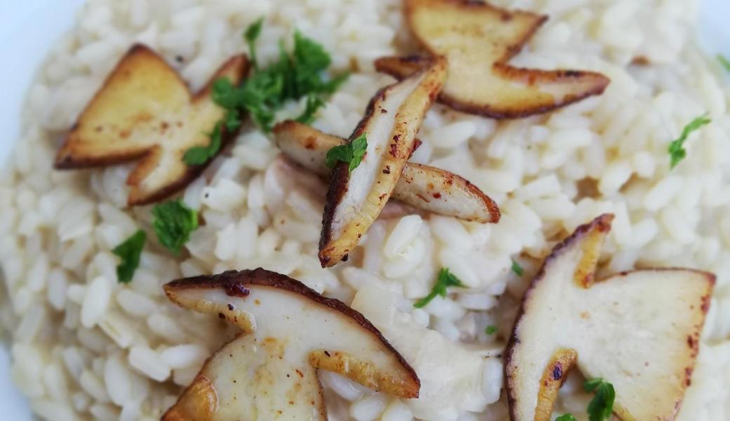 Es ist angerichtet: Pilzrisotto schmeckt am besten mit selber gefundenen Pilzen.