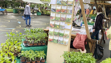 Bioterra mit Markt in Altstätten und Setzlingsbörse in Berneck