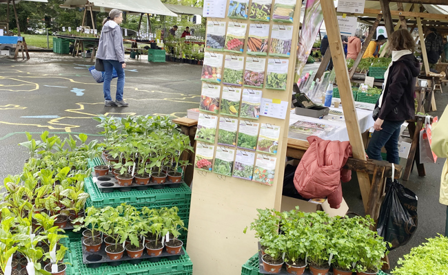Bioterra mit Markt in Altstätten und Setzlingsbörse in Berneck