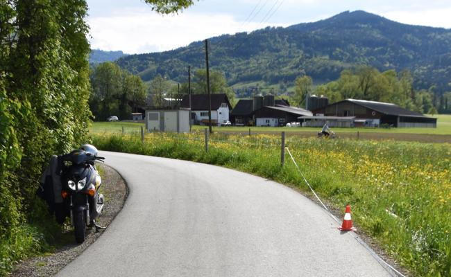 Altstätten: Angetrunken mit Pfahl kollidiert