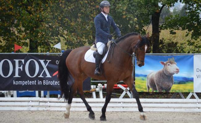Dressursport und Vereinsmeisterschaft