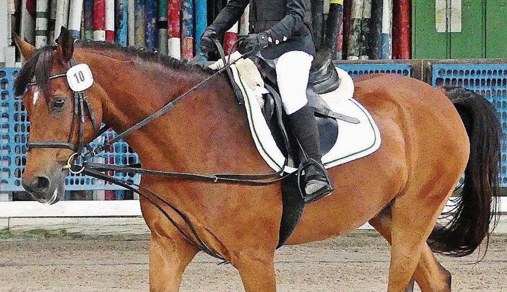 Janika Schegg vom RV Oberriet demonstrierte mit ihrem Pony Top Escudo, dass sie das ABC des Reitens beherrscht.