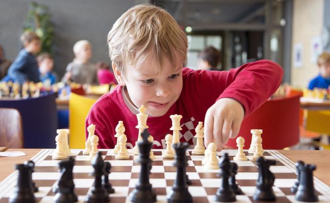 Von Damen und Königen