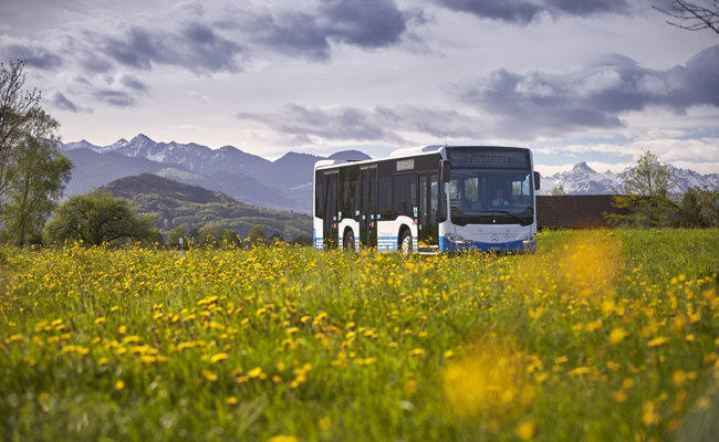 Subventionsbetrug bei Bus Ostschweiz AG: Ex-Verantwortliche vor Gericht