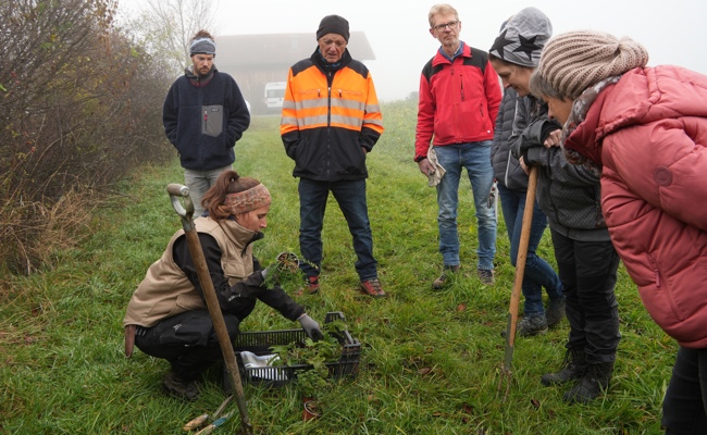 Praxisnaher Kurs zeigt: Wildsträucher sind wertvolle Lebensräume
