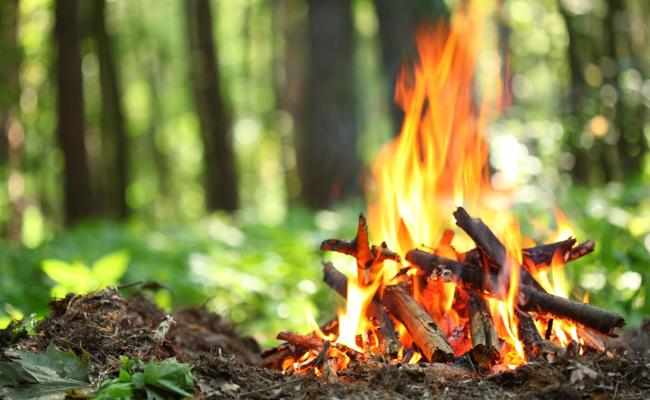 Ausserrhoden: Im Wald darf man wieder feuern