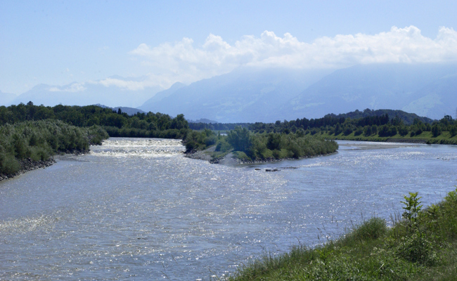 Das Wasser des Rheins ist gut - aber an der Ökologie hapert's