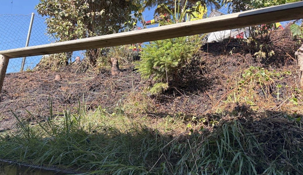 In Kirchberg setzte ein Mann geschnittenes Gras in Brand.