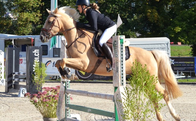Herbstwetter und Springsport erfreuten Reiterin, Pferd und Publikum
