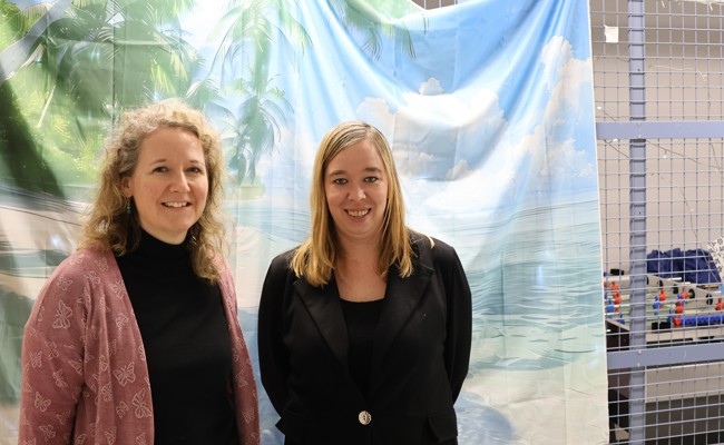 Der Jugendtreff «Malibu» in Rüthi ist auf die Hilfe von Eltern angewiesen