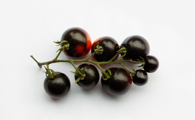 Wie beim Wein gibt es bei den Tomaten eine Art Terroir