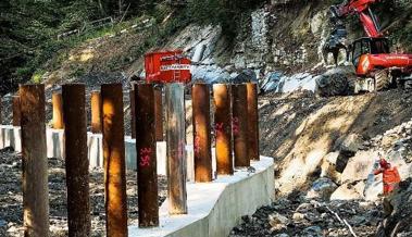 Holzrückhalt ist fertig - Kosten im Rahmen