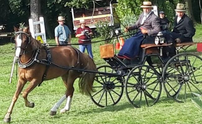 Rheintaler am Fahrcup-Final