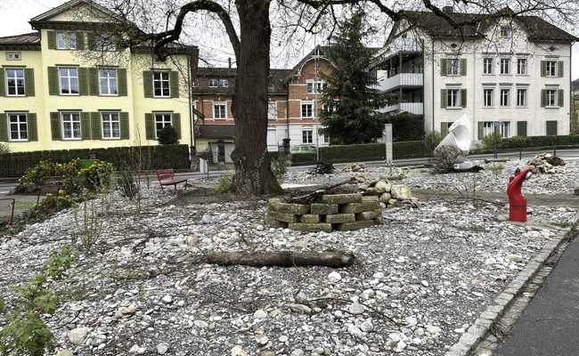 Ökologische Aufwertung: Pärkli wird wieder Pärkli sein