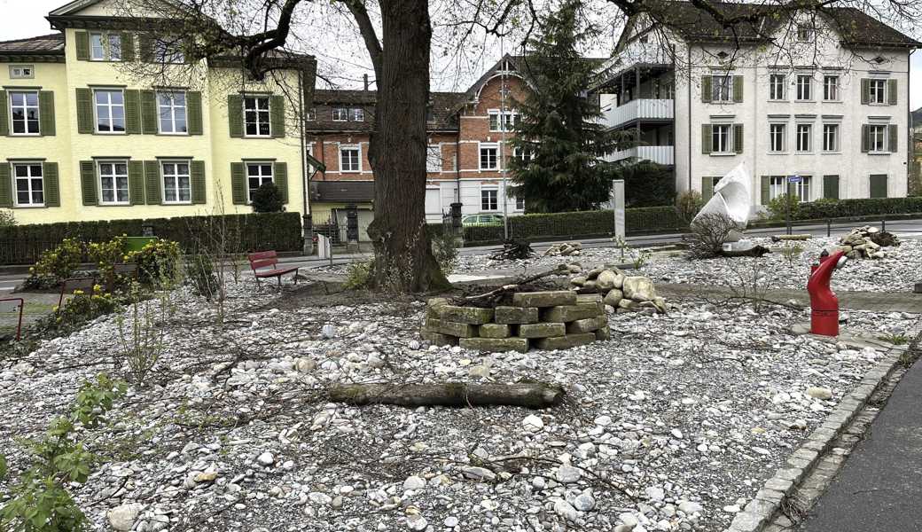 Was wie eine trostlose Steinwüste aussieht, soll zu einer schönen Blumenwiese werden. 