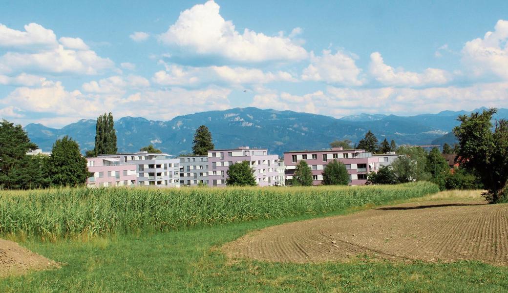 Wohnungen kann man ja schlecht mit warmen Semmeln vergleichen, doch wie solche gingen die Wohnungen in diesen neuen Häusern in Altstätter Städtlinähe weg.