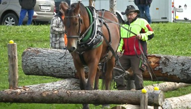 Holzrücker und Gespanne in Kriessern an der harten Arbeit