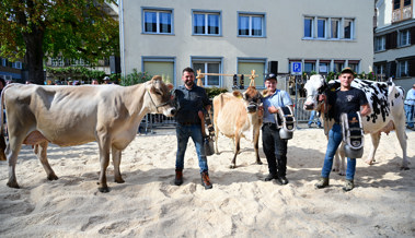 Tango, Lili und Baluma werden in Altstätten zu den neuen Missen gekürt