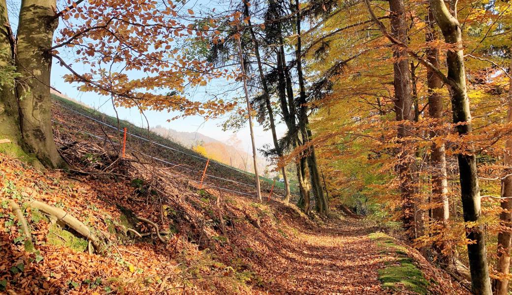 Es ist nicht mehr selbstverständlich, tiefe Bindungen zu finden. Darum muss jeder und jede den eigenen Weg, das eigene Bekennen und die eigene Wahrheit finden. 